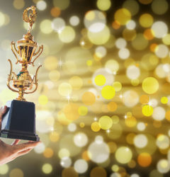 awards galore