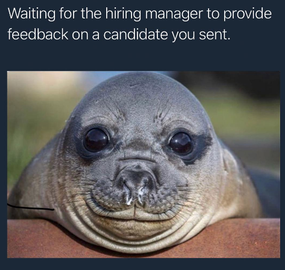 20 Hilarious Recruiting Memes That Will Make Recruiters Go ROFL 