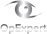 opexpert-consulting-logo